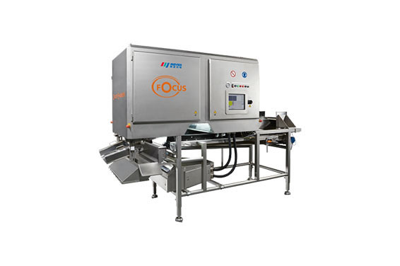 CE คัดเเยกสี